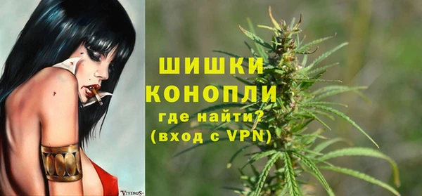твердый Арсеньев