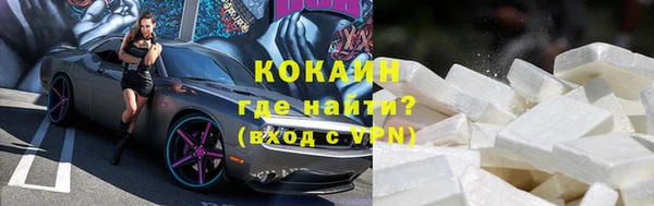 твердый Арсеньев