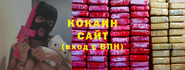 твердый Арсеньев