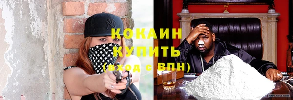 твердый Арсеньев
