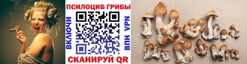 Псилоцибиновые грибы GOLDEN TEACHER Ступино