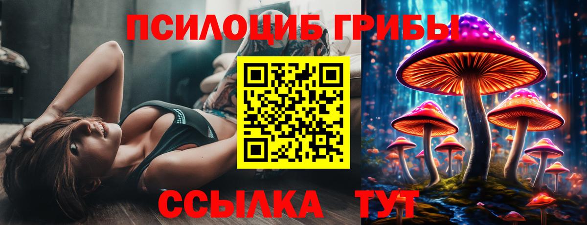 наркотики  Псилоцибиновые грибы мицелий  Вход с VPN  Галлюциногенные грибы прущие грибы  Ступино 