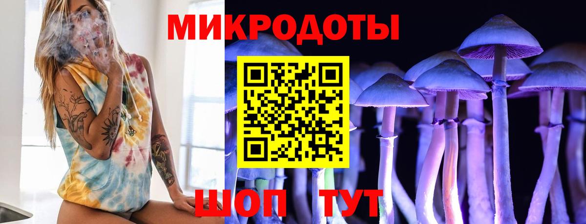 Галлюциногенные грибы Cubensis Ступино